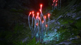 Flora Ribbon Flora Infobox Image