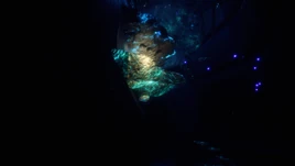 Flora Aquatic Fungi Green Infobox Image