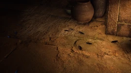 Cockroach Infobox Image