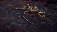 Skeletal Remains of an Infamous Wyvern