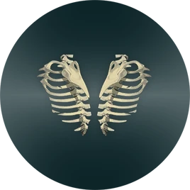 Graphic- SkeleSkin Icon (Vinyl)