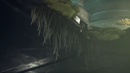 Flora Aquatic Fungi Yellow Infobox Image