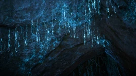 Glowworm Infobox Image