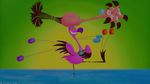 Snooty flamingos' defeat