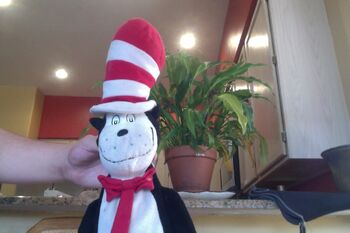 Cat in The Hat