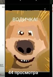 Водичка