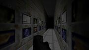 Ckopo'sWalkingInMaze