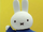 Scary Miffy