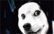 Jeff the killeр
