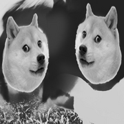 Sobakibezopas