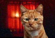 Smile.Cat