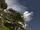 Welcome to New Zealand/Gallery