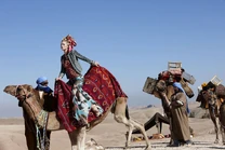 Molly O'Connell | America's Next Top Model | Fandom