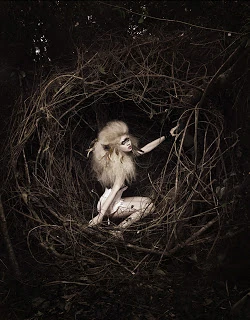 allison harvard yeux antm