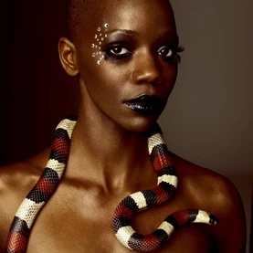 Snake Beauty Shot