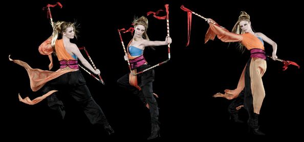 Ninja Warriors