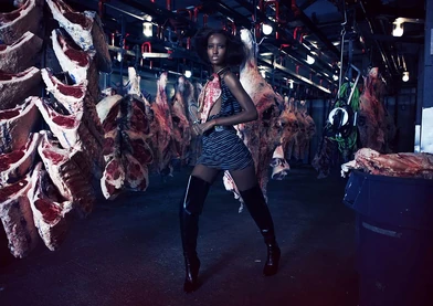 Meat Packing Industry