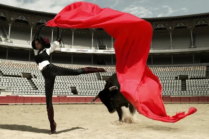 Bullfighters