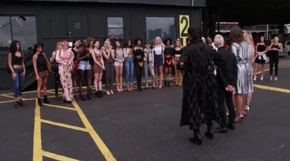 Business, Brand, Boss