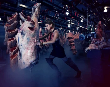 Meat Packing Industry