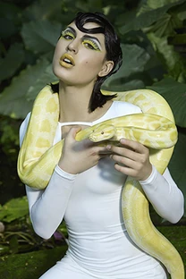 Animorphs