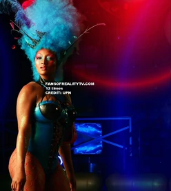 Dooney & Bourke Purses (Close-Up)