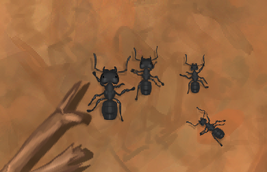 Screenshot (48).png