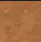 Screenshot 677.png