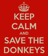 Keep Calm Donkey