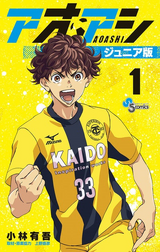 Aoashi Brother Foot Vol. 1 Japanese Big Comics Manga Anime football soccer  New