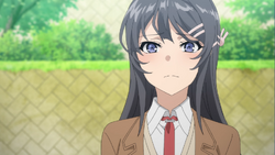 Seishun Buta Yarou wa Bunny Girl Senpai no Yume o Minai - Baka