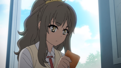 Adolescence Syndrome | Seishun Buta Yarou wa Bunny Girl Senpai no Yume wo Minai Wiki | Fandom Adolescence Syndrome | Seishun Buta Yarou wa Bunny Girl Senpai no Yume wo Minai Wiki | Fandom