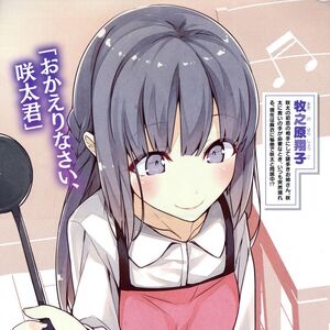Light Novel Volume 6 Seishun Buta Yarou Wa Bunny Girl Senpai No Yume Wo Minai Wiki Fandom Udh cuma segitu aja gambaran untuk volume 8 next gambaran. seishun buta yarou wa bunny girl senpai