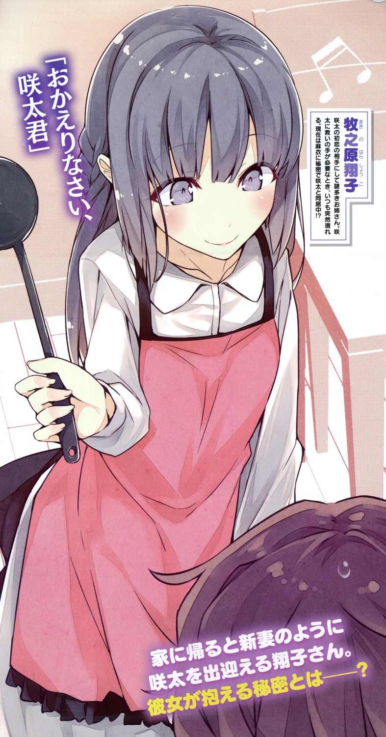 Light Novel Volume 6, Seishun Buta Yarou wa Bunny Girl Senpai no Yume wo  Minai Wiki