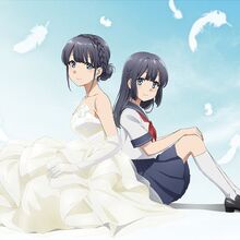 Seishun Buta Yarou Wa Yumemiru Shoujo No Yume Wo Minai Movie Seishun Buta Yarou Wa Bunny Girl Senpai No Yume Wo Minai Wiki Fandom Seishun buta yarou wa yumemiru shoujo no yume wo minai. seishun buta yarou wa bunny girl senpai