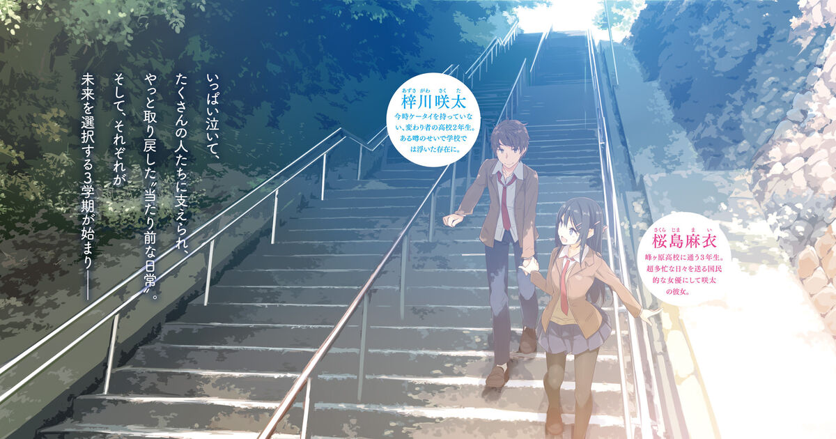 Seishun Buta Yarou wa My Student no Yume wo Minai – Japanese Book Store