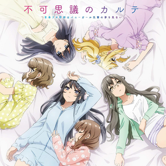 Fukashigi No Karte Seishun Buta Yarou Wa Bunny Girl Senpai No Yume Wo Minai Wiki Fandom Atsumi tanezaki) nodoka toyohama (cv. seishun buta yarou wa bunny girl senpai