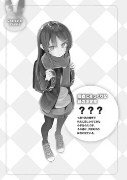 Light Novel Volume 9  Seishun Buta Yarou wa Bunny Girl Senpai no