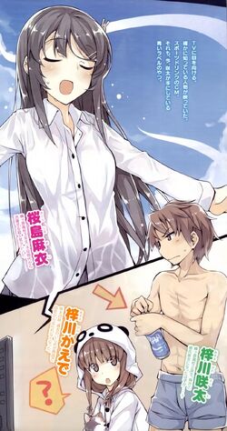 Light Novel Volume 10, Seishun Buta Yarou wa Bunny Girl Senpai no Yume wo  Minai Wiki