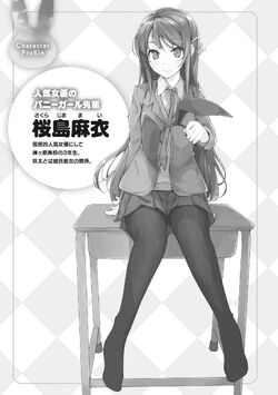 Seishun Buta Yarou Series Vol. 9 - That Novel Corner