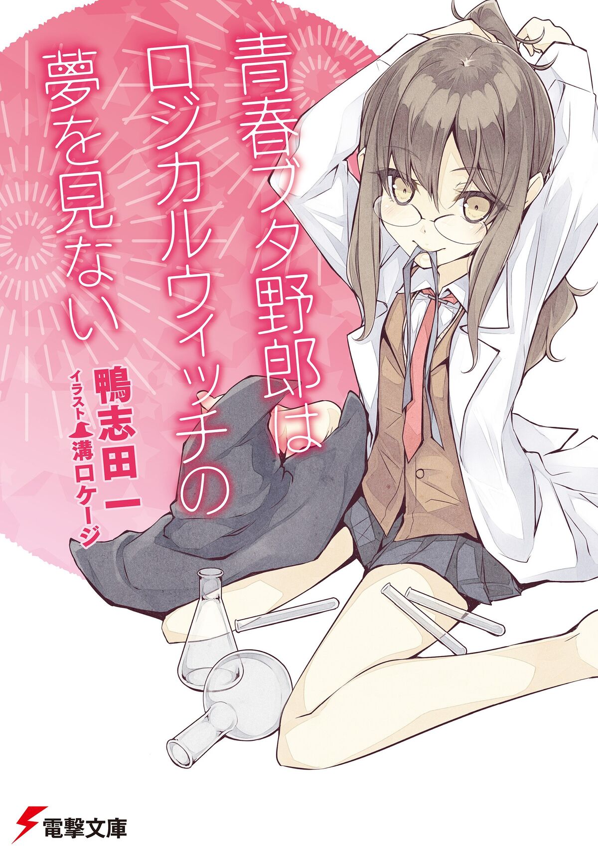 Light Novel Volume 3 | Seishun Buta Yarou wa Bunny Girl Senpai no 