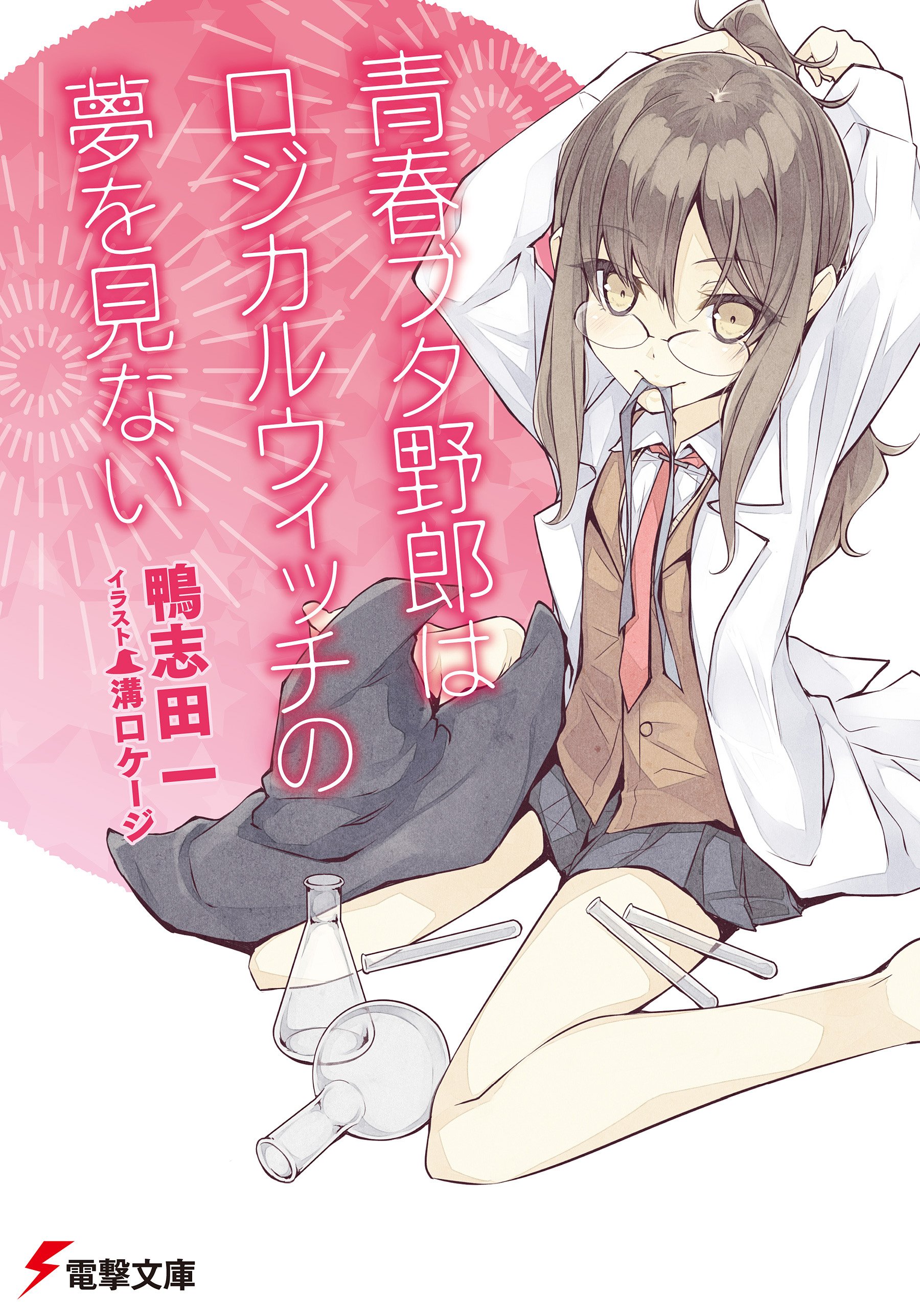 Light Novel Volume 3 | Seishun Buta Yarou wa Bunny Girl Senpai no Yume wo  Minai Wiki | Fandom