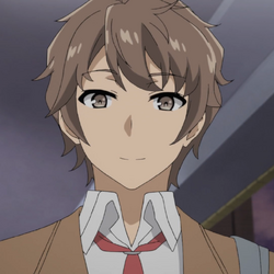 Rascal does not dream hot sale of bunny girl senpai characters