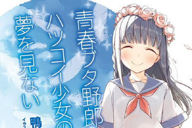 Officially announced - Rascal Does Not Dream Light Novel Series to Enter  Final Arc : r/SeishunButaYarou