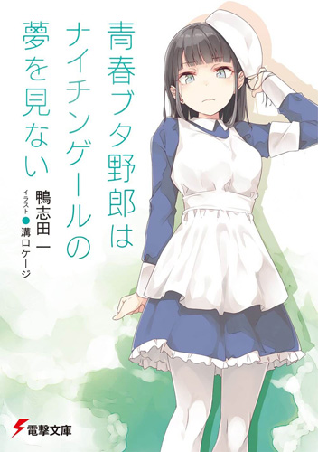 Light Novel Volume 11 Seishun Buta Yarou Wa Bunny Girl Senpai No Yume Wo Minai Wiki Fandom