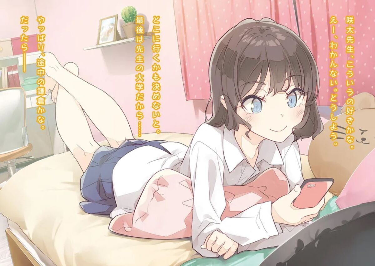 Seishun Buta Yarou wa My Student no Yumei wo Minai. Volume 12