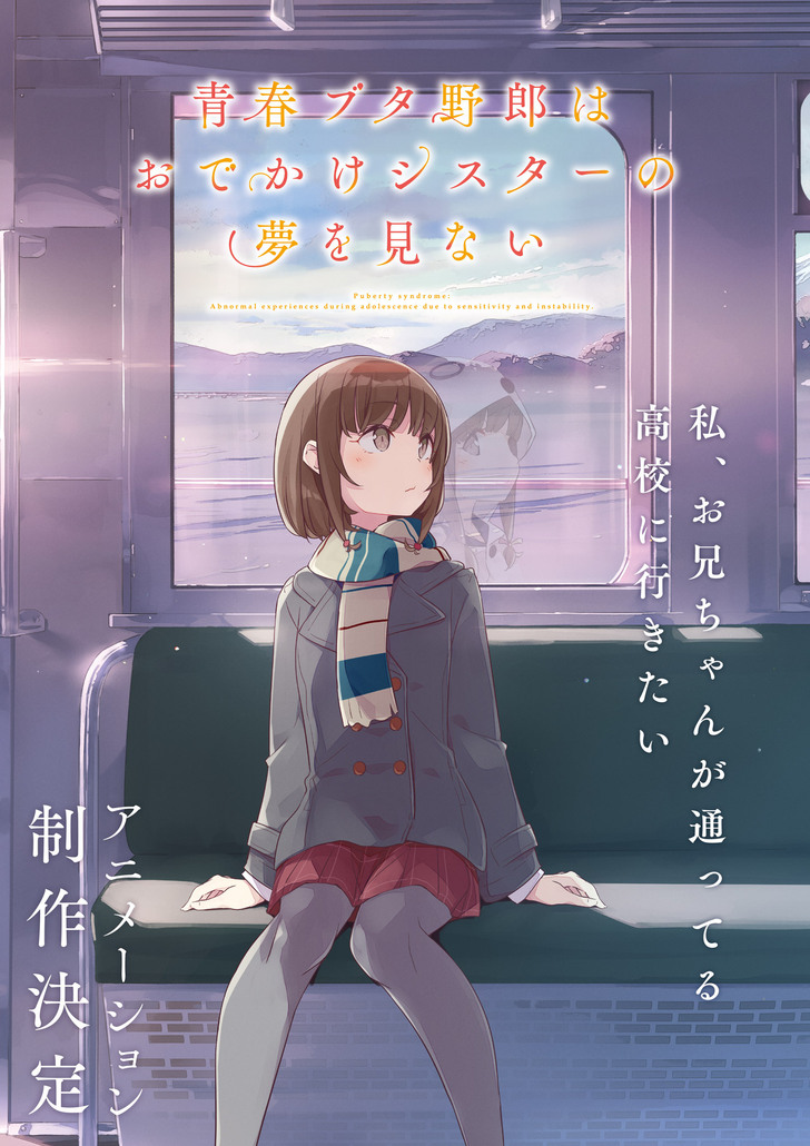 Light Novel Volume 6, Seishun Buta Yarou wa Bunny Girl Senpai no Yume wo  Minai Wiki