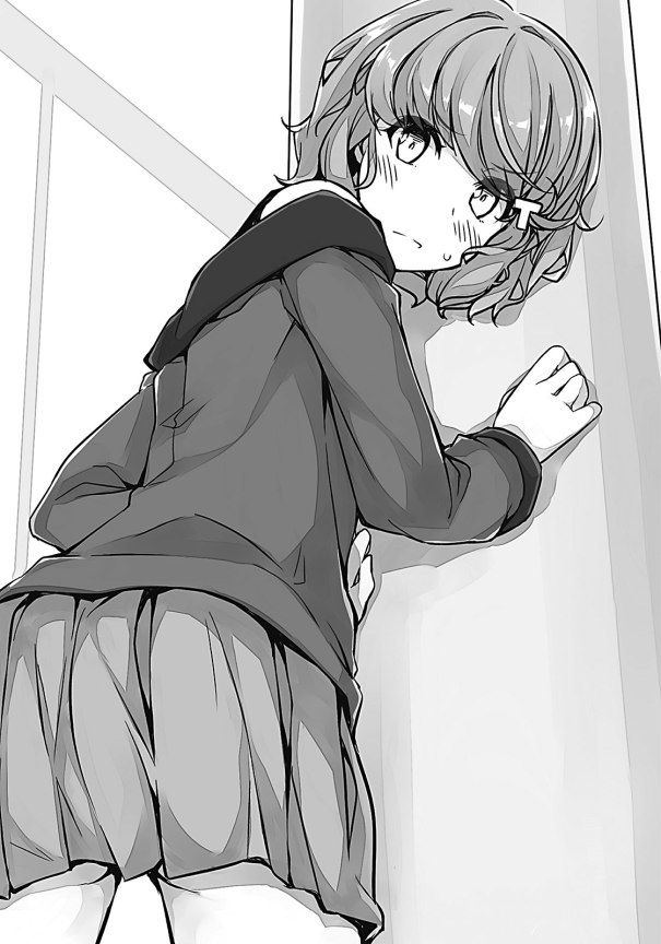 Seishun Buta Yarou wa Randoseru Girl no Yume o Minai - Koga Tomoe - Clear File (Set B) (Anibox, Don Quijote, Legs Company)