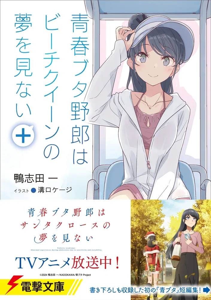Light Novel Volume Extra | Seishun Buta Yarou wa Bunny Girl