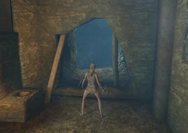 CoastalCave